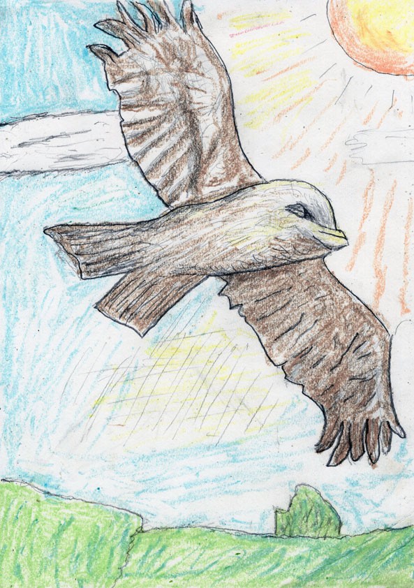 鷹の飛翔 作品詳細 Illustdays シンプルイラストポートフォリオ