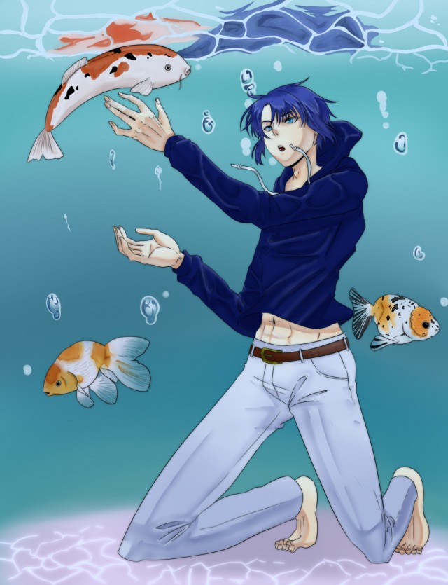 金魚と鯉 作品詳細 Illustdays シンプルイラストポートフォリオ