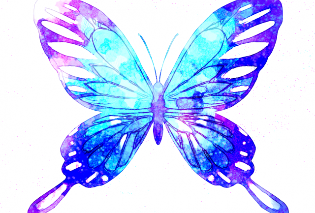 蝶々 鮮やかver 作品詳細 Illustdays シンプルイラストポートフォリオ