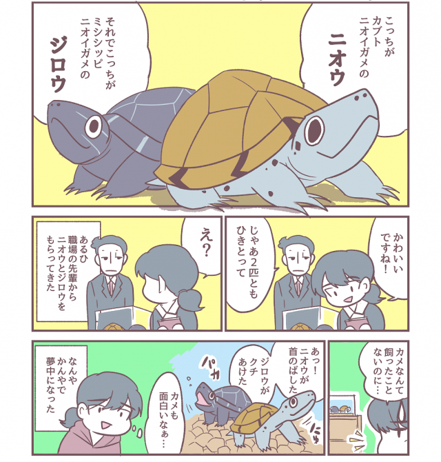 カメは今 何を思う｜作品詳細｜ILLUST DAYS シンプルイラスト