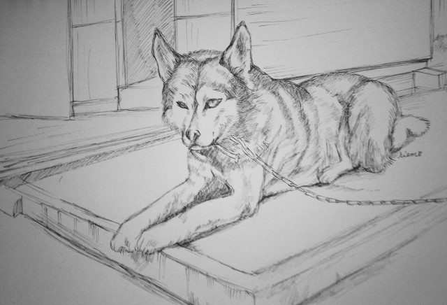ミックス犬 ペンスケッチ｜作品詳細｜ILLUST DAYS シンプル