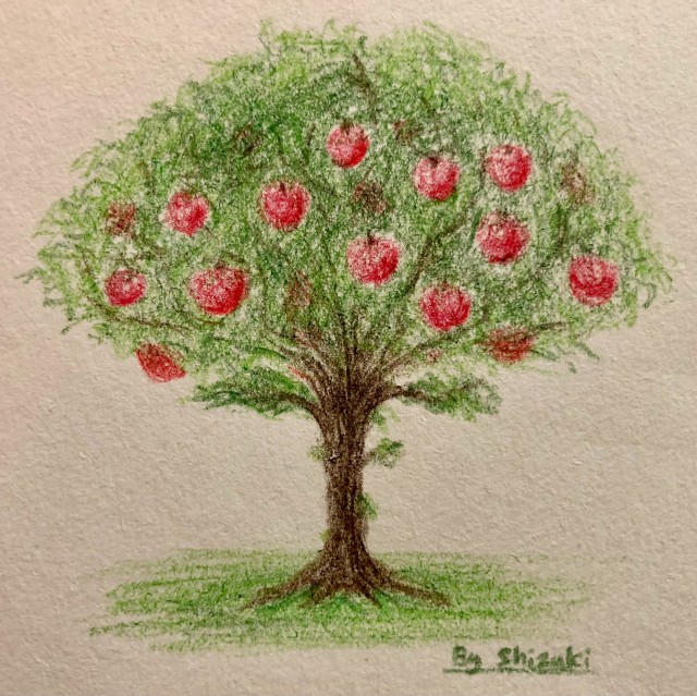 りんごの木と実 作品詳細 Illustdays シンプルイラストポートフォリオ