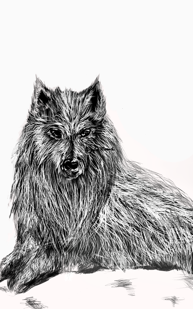 フェンリル 作品詳細 Illustdays シンプルイラストポートフォリオ