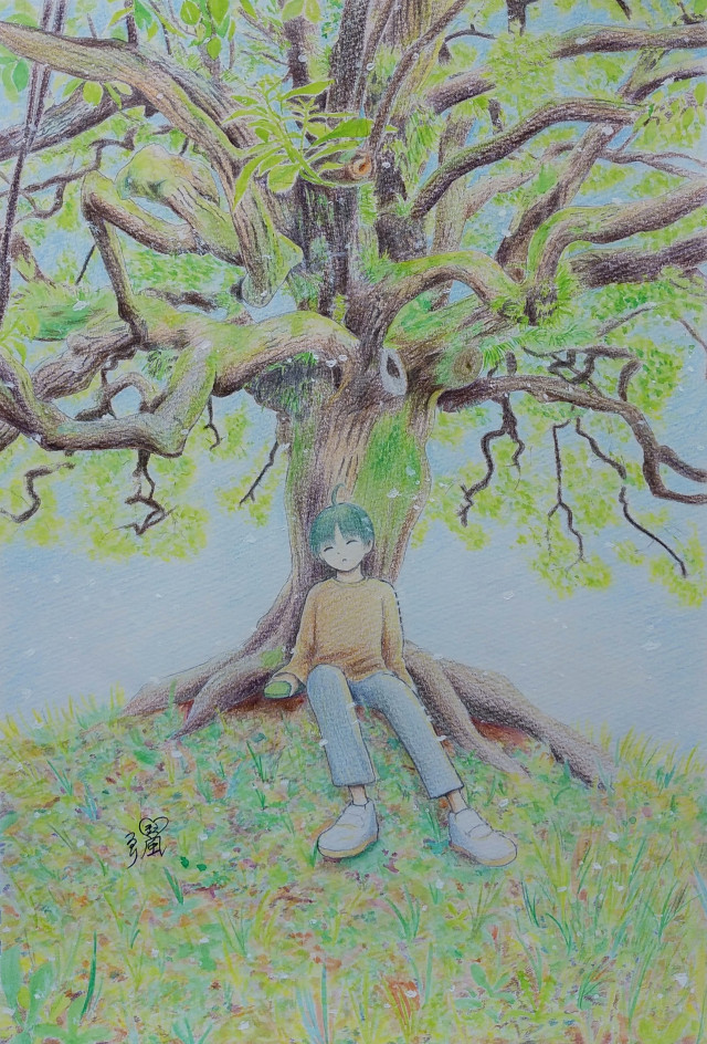 クスノキ｜作品詳細｜ILLUST DAYS シンプルイラストポートフォリオ