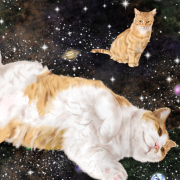とらちゃん、永遠の仔猫的な…｜作品詳細｜ILLUST DAYS　シンプルイラストポートフォリオ