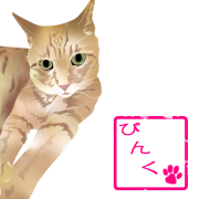 おすまし顔のぴーちゃん｜作品詳細｜ILLUST DAYS　シンプルイラストポートフォリオ