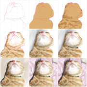 ぴーちゃんの白いところ｜作品詳細｜ILLUST DAYS　シンプルイラストポートフォリオ